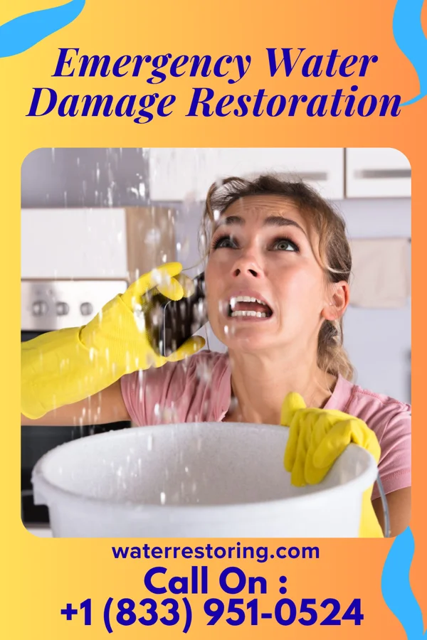 Emergency Water Damage Restoration in Surrency, GA