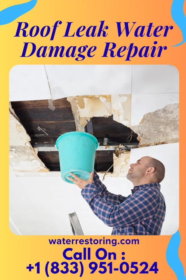 Roof Leak Water Damage Repair in Surrency, GA